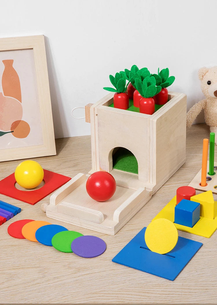 Brinquedo Educativo de Caixa de madeira com  formas geometricas e cor