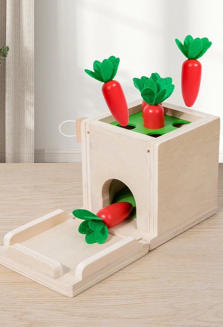 Brinquedo Educativo de Caixa de madeira com  formas geometricas e cor